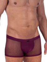 MANSTORE M2315: Micro Pant, burgundy